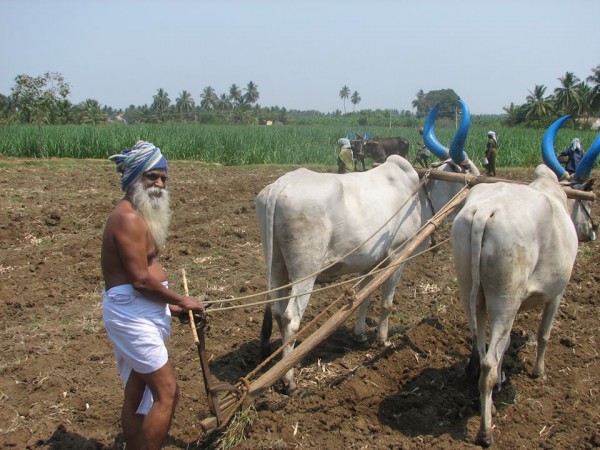 மரணம் வென்ற நம்மாழ்வாருக்கு இன்று பிறந்த நாள்…!