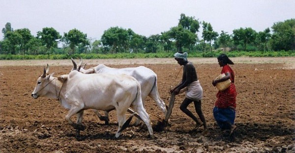 அன்பான விவசாயி!!!