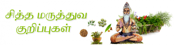 சித்த மருத்துவக் குறிப்புகள்-1